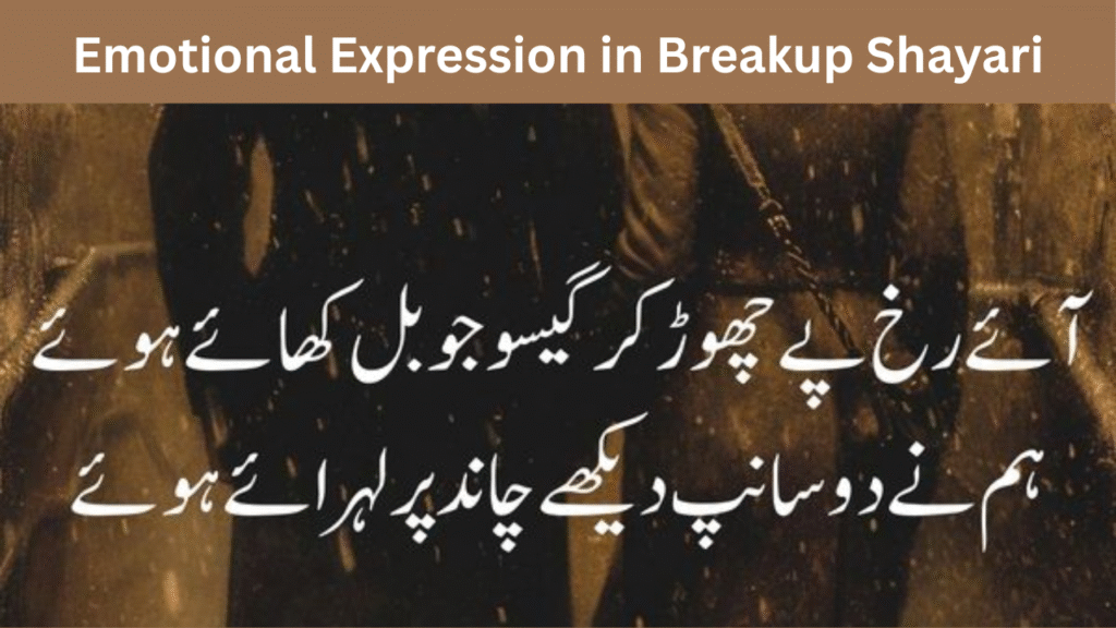 Emotional Expression in Breakup Shayari
