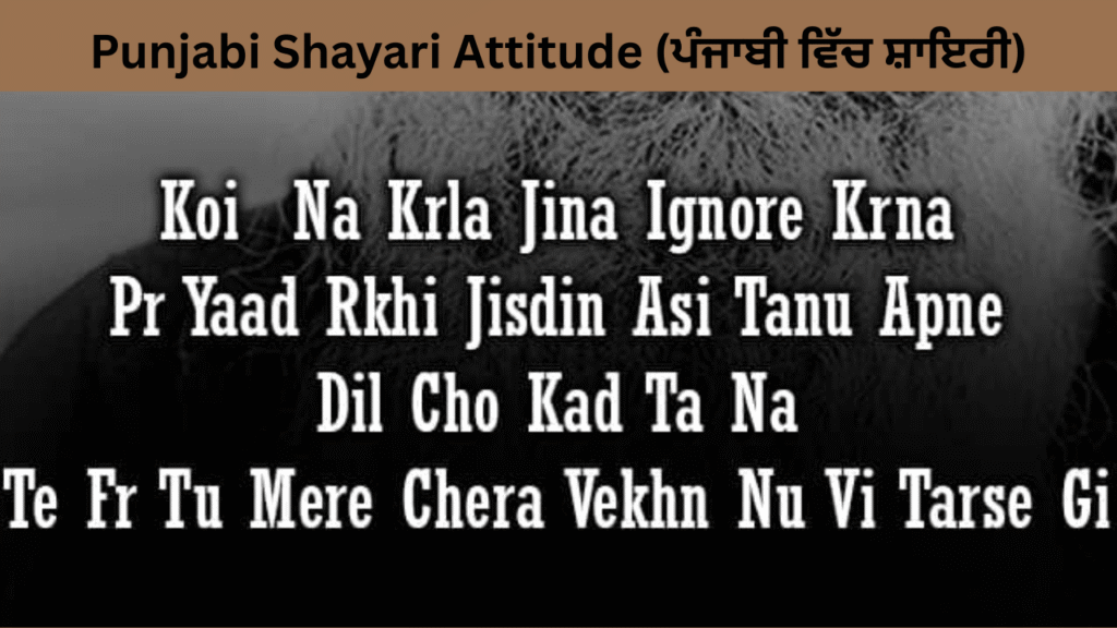 Punjabi Shayari Attitude (ਪੰਜਾਬੀ ਵਿੱਚ ਸ਼ਾਇਰੀ)