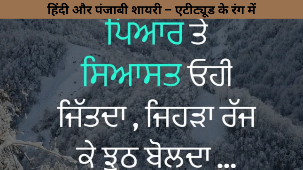 हिंदी और पंजाबी शायरी – एटीट्यूड के रंग में