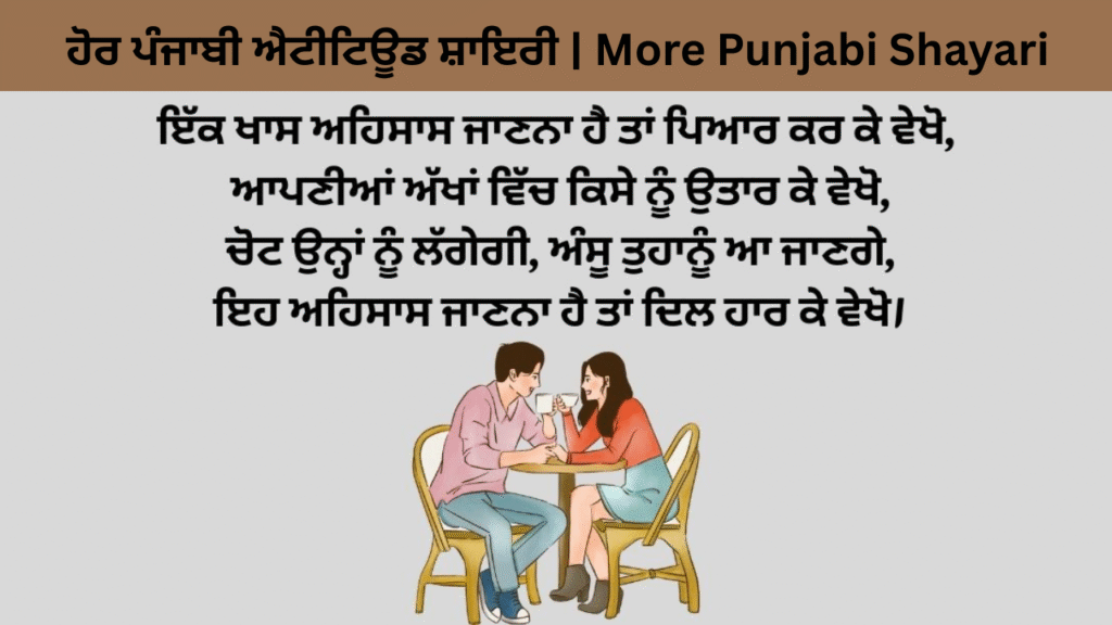 ਹੋਰ ਪੰਜਾਬੀ ਐਟੀਟਿਊਡ ਸ਼ਾਇਰੀ More Punjabi Shayari