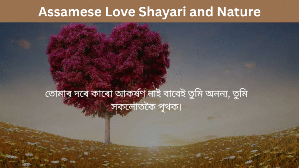 Assamese Love Shayari and Nature