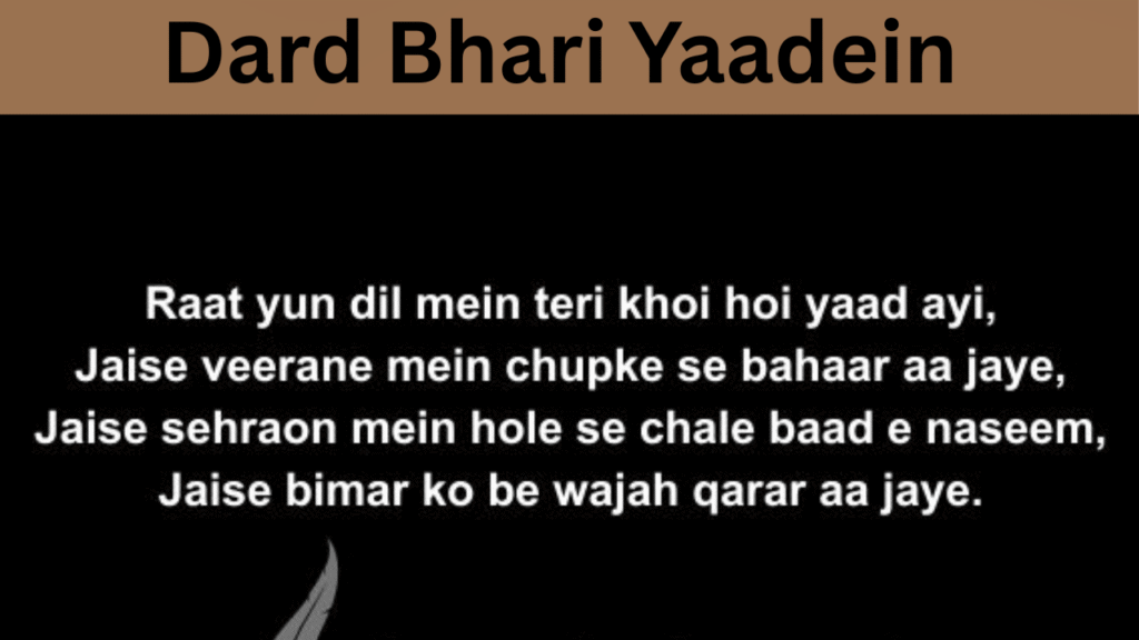 Dard Bhari Yaadein
