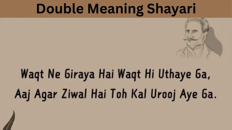 Double Meaning Shayari