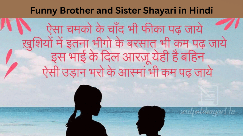 Funny Brother and Sister Shayari in Hindi