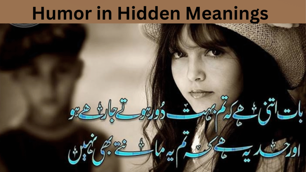 Humor in Hidden Meanings