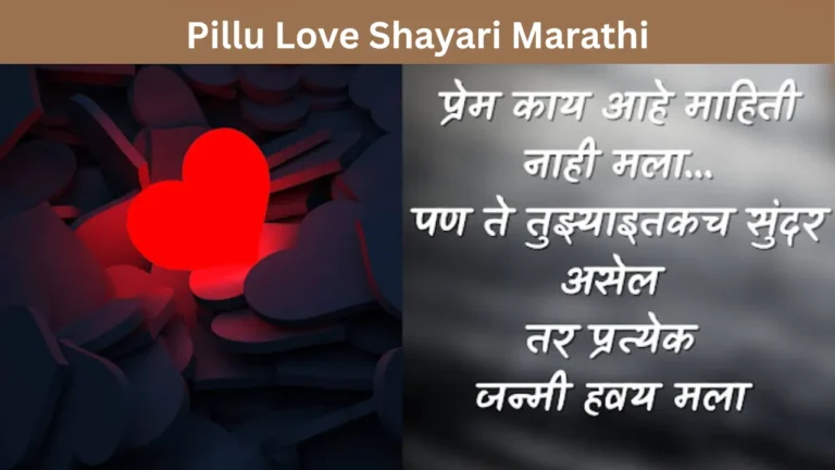 Pillu Love Shayari Marathi