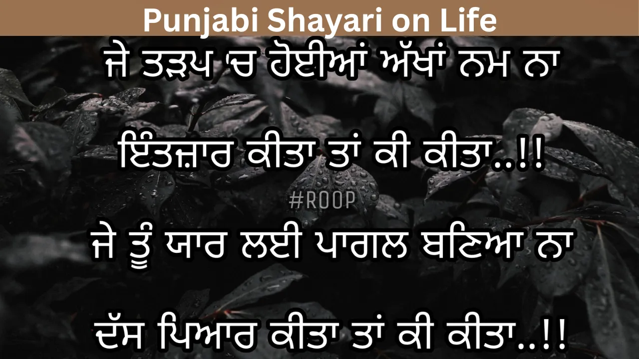 Punjabi Shayari on Life