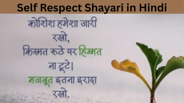 Self Respect Shayari in Hindi