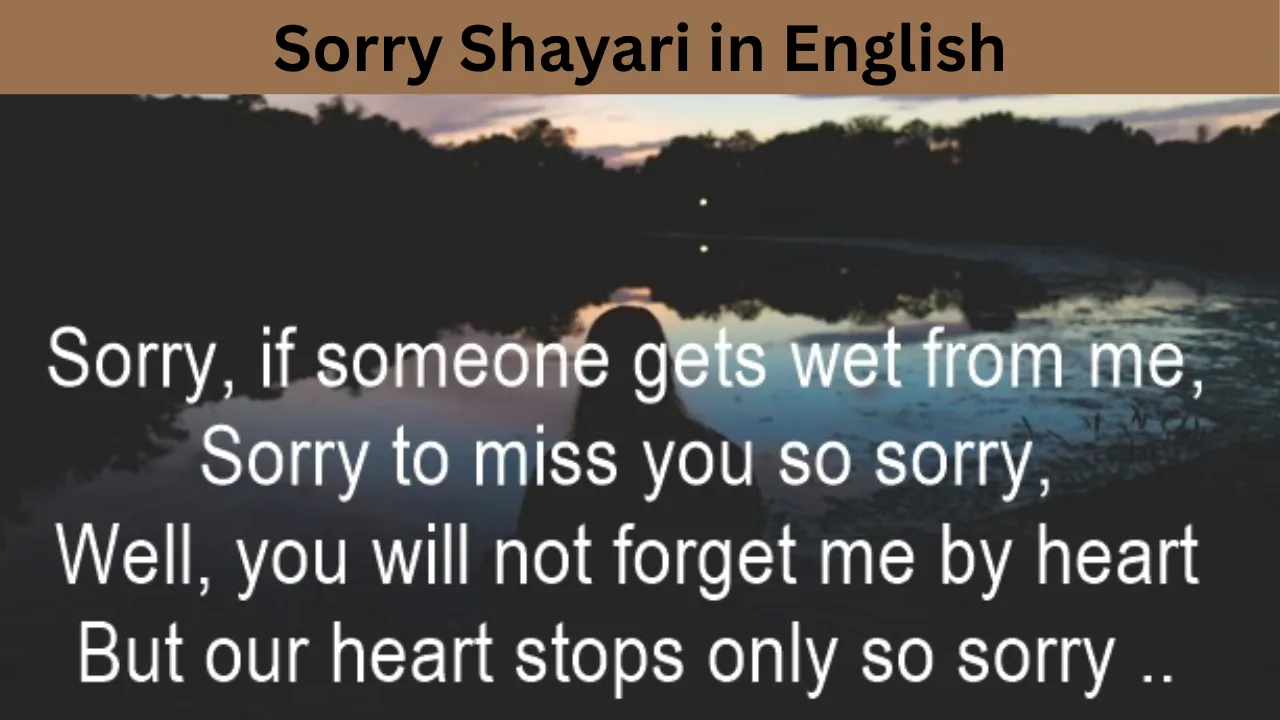 Sorry Shayari in English