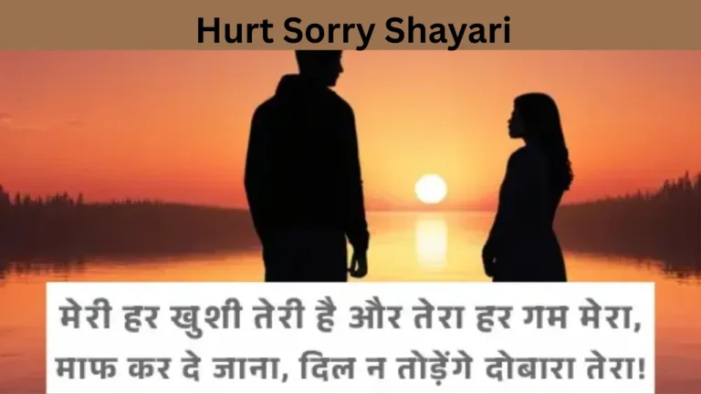 Hurt Sorry Shayari