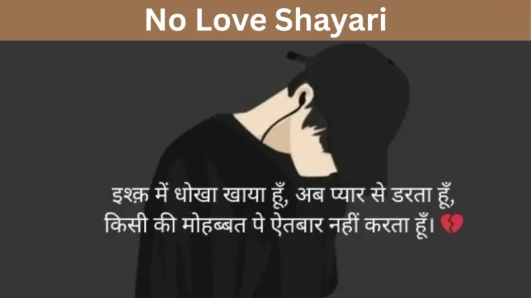 No Love Shayari