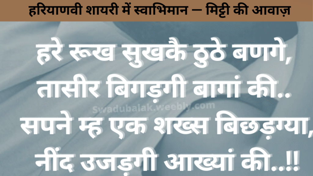 हरियाणवी शायरी में स्वाभिमान — मिट्टी की आवाज़