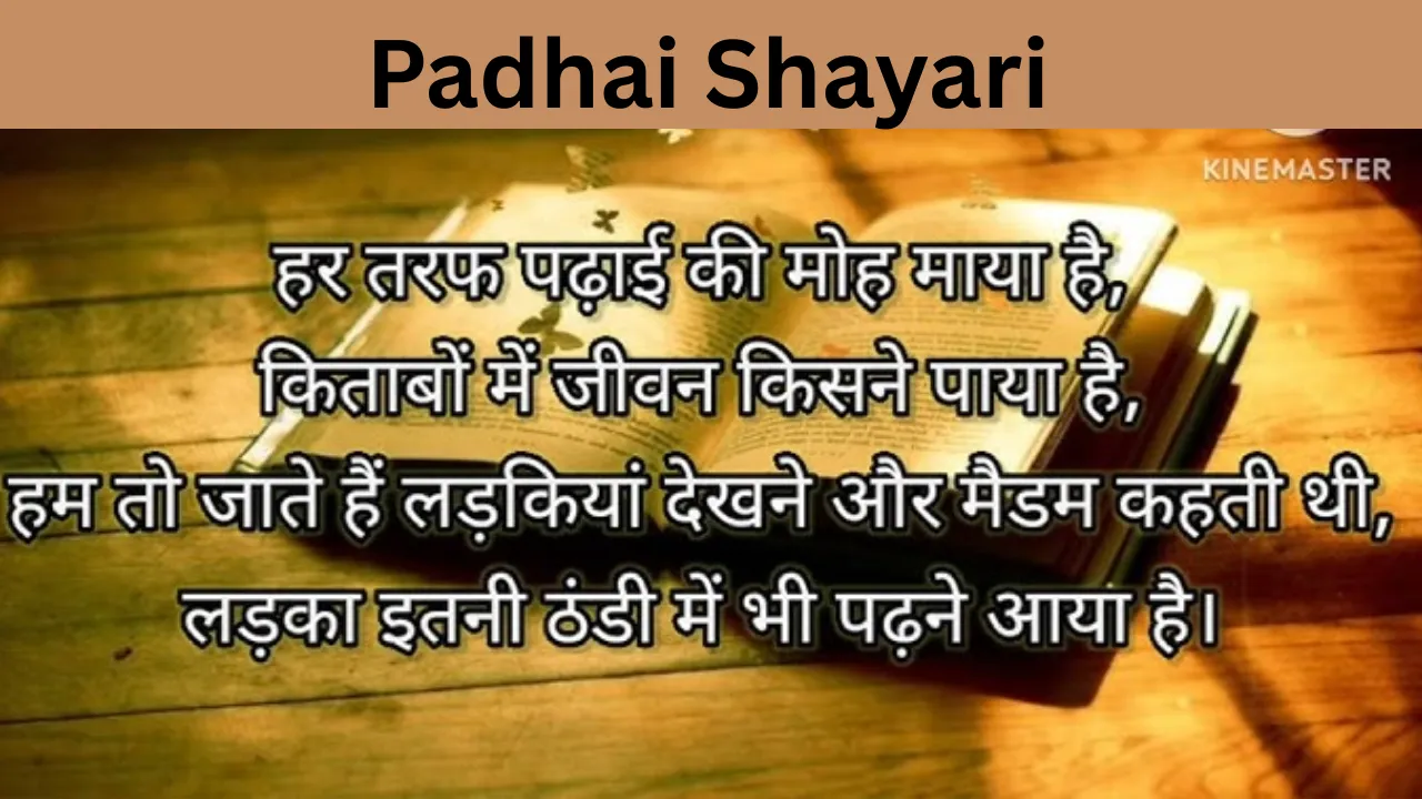 Padhai Shayari