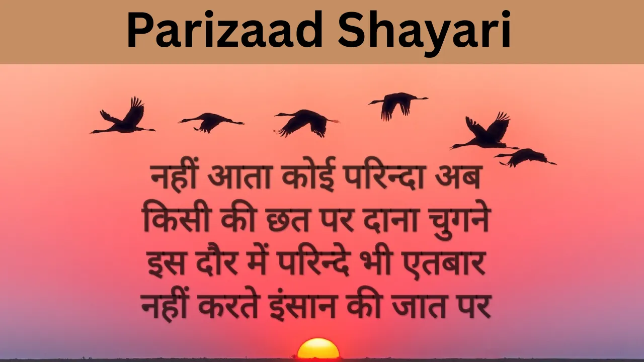Parizaad Shayari