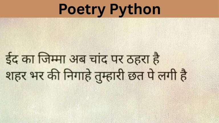 Poetry Python