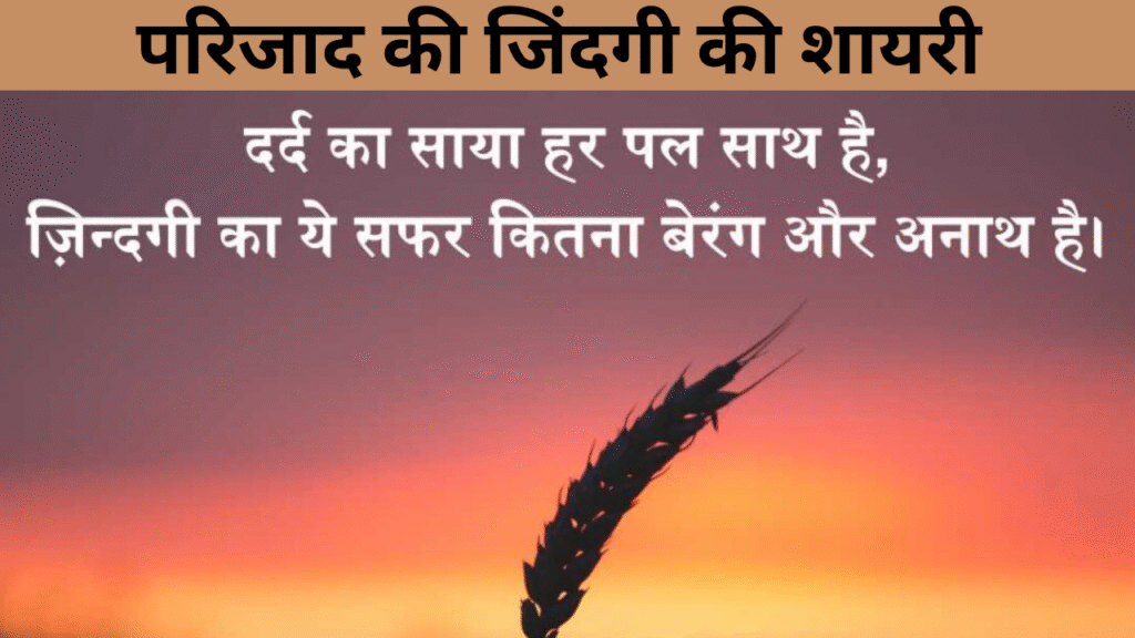 परिजाद की जिंदगी की शायरी 