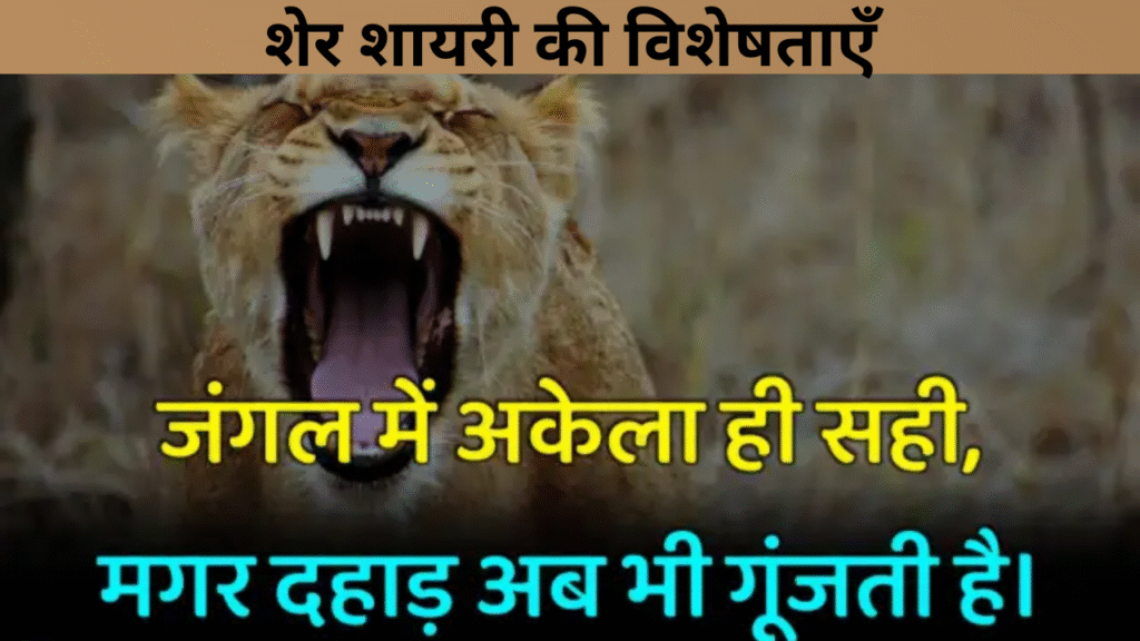 शेर शायरी की विशेषताएँ