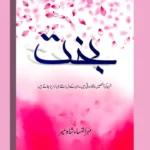 Bakht Novel