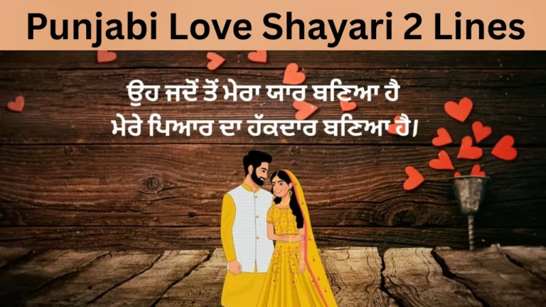 Punjabi Love Shayari 2 Lines