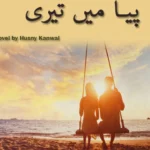 Piya Main Teri Novel