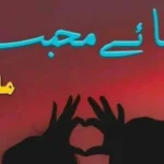 Taqaza e Mohabbat Novel