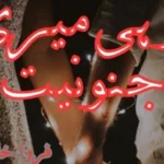 Tu Hi Meri Junooniyat Novel