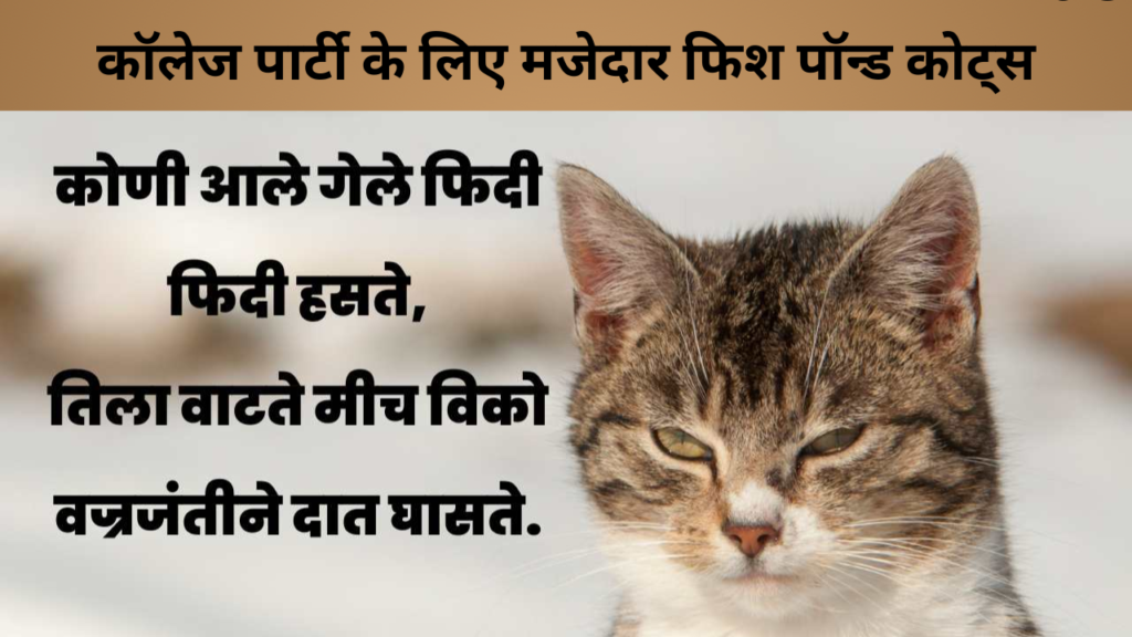 कॉलेज पार्टी के लिए मजेदार फिश पॉन्ड कोट्स