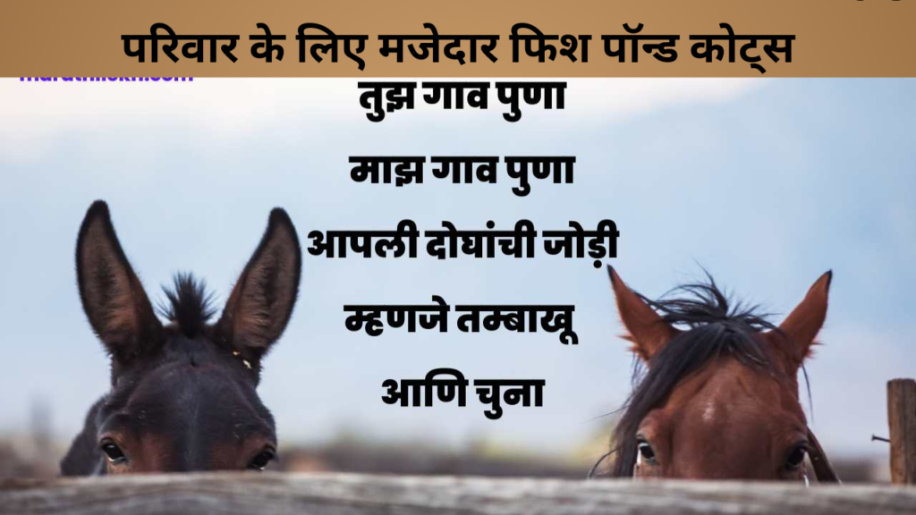 परिवार के लिए मजेदार फिश पॉन्ड कोट्स