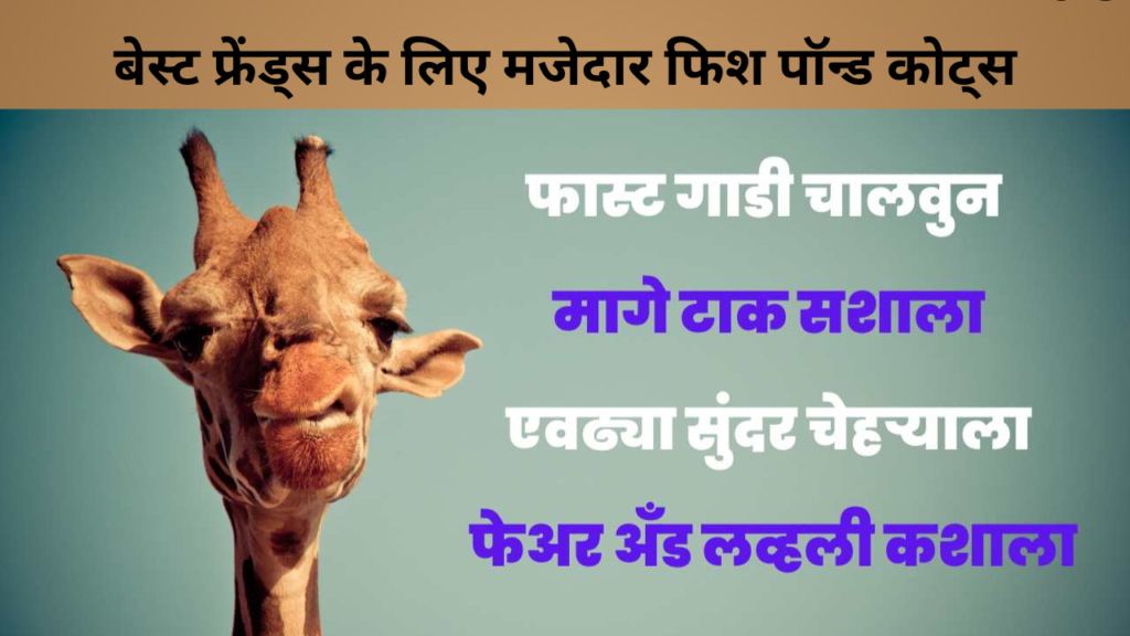 बेस्ट फ्रेंड्स के लिए मजेदार फिश पॉन्ड कोट्स