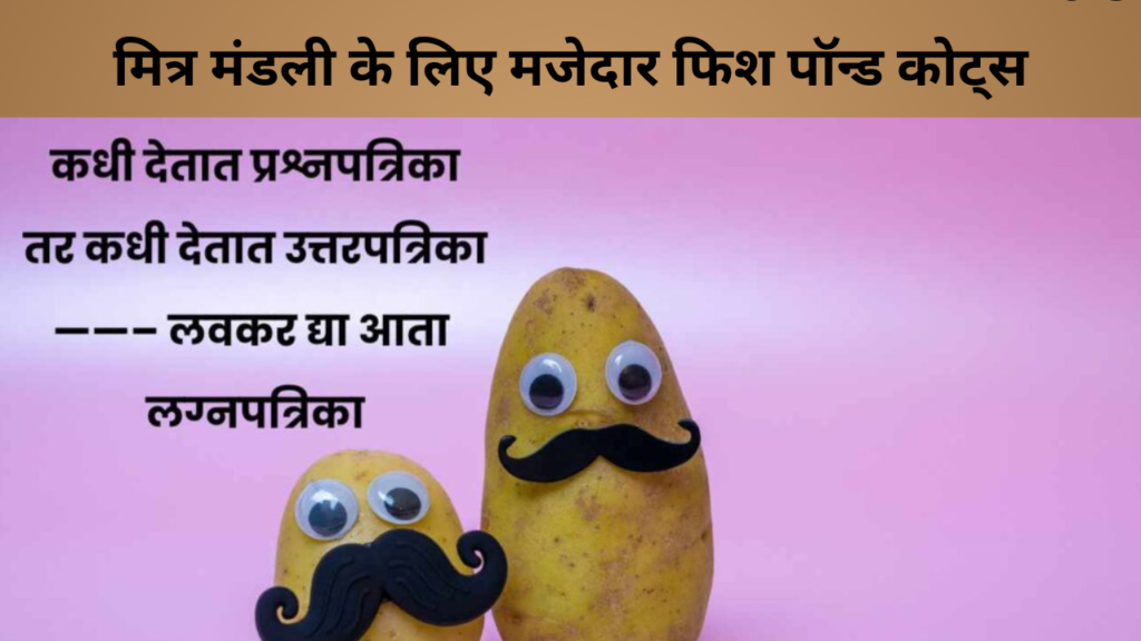 मित्र मंडली के लिए मजेदार फिश पॉन्ड कोट्स