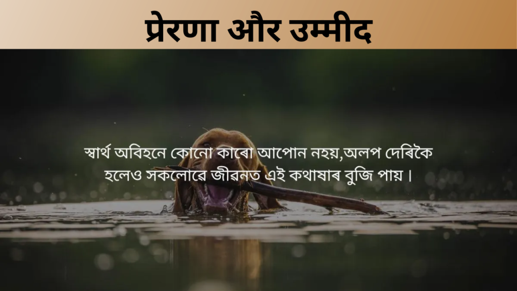 प्रेरणा और उम्मीद