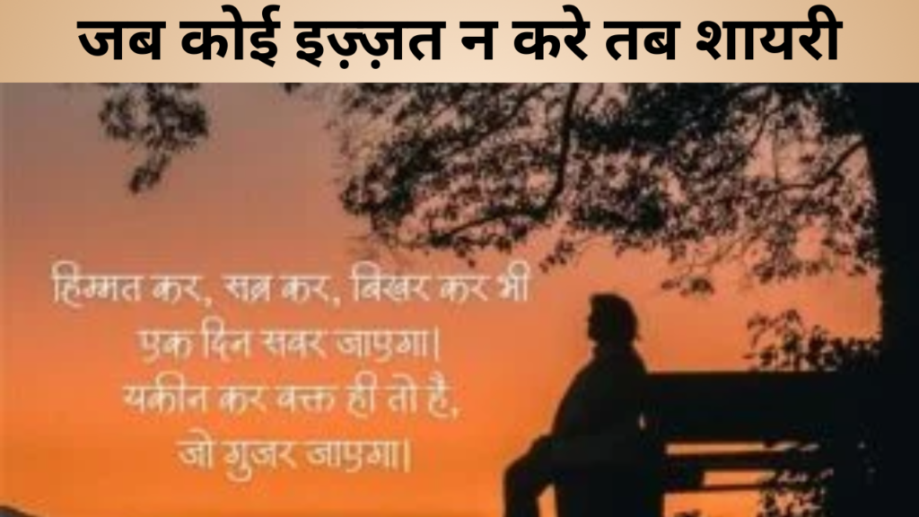 जब कोई इज़्ज़त न करे तब शायरी